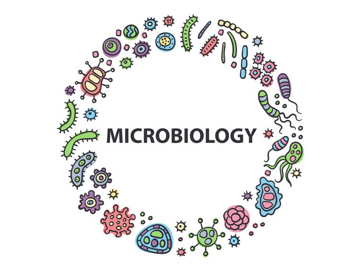 Clinical Microbiology Certification