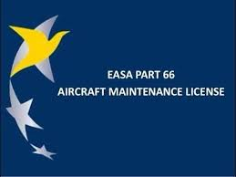PCAA (logo + text)