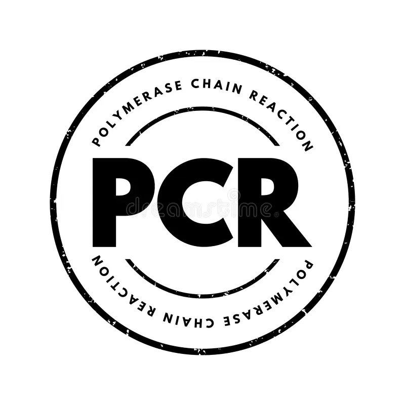 PCR (Polymerase Chain Reaction)