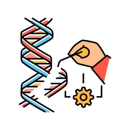 Scientific Research & Publication Specialist