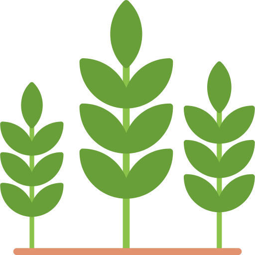 Cytogenetics of Crop Plants