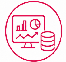 Digital & Analytical Competence