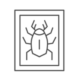 Zoological Dissection & Specimen Preparation