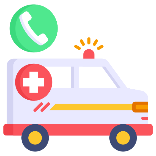 Pre-Hospital Care & Ambulance Services