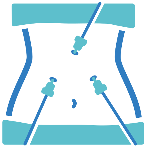 Endoscopic & Laparoscopic Assistance