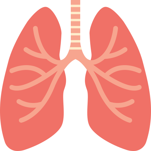 Airway Management
