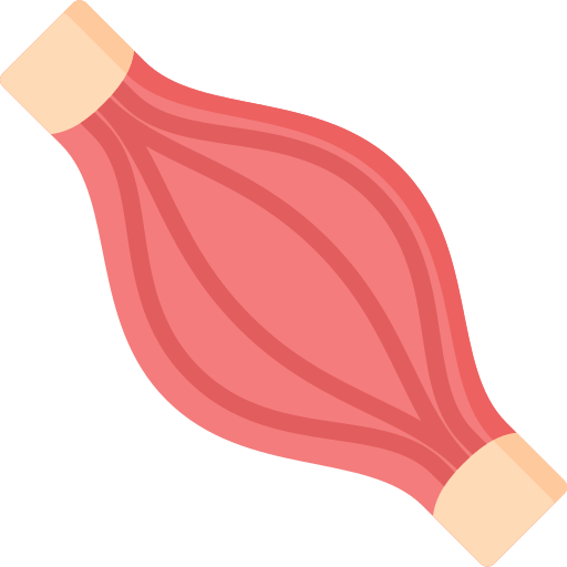 Musculoskeletal Imaging