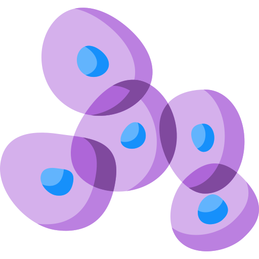 Stem Cell & Gene Therapy