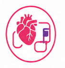 Cardiac Perfusion Technology