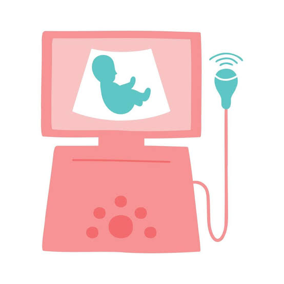 Gynaecological Ultrasound
