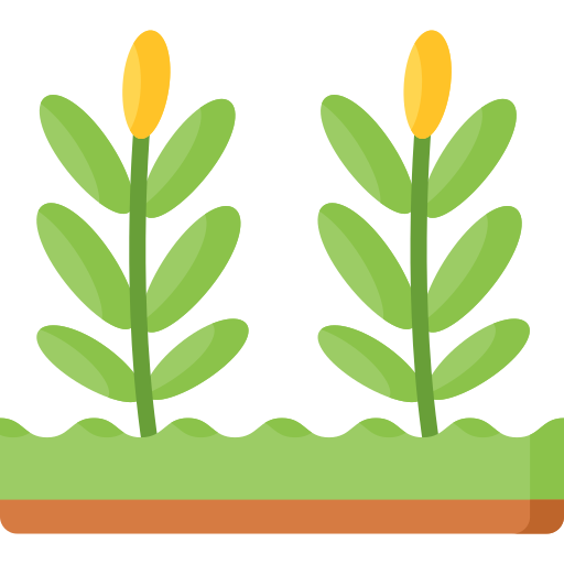 Agricultural & Food Biotechnology
