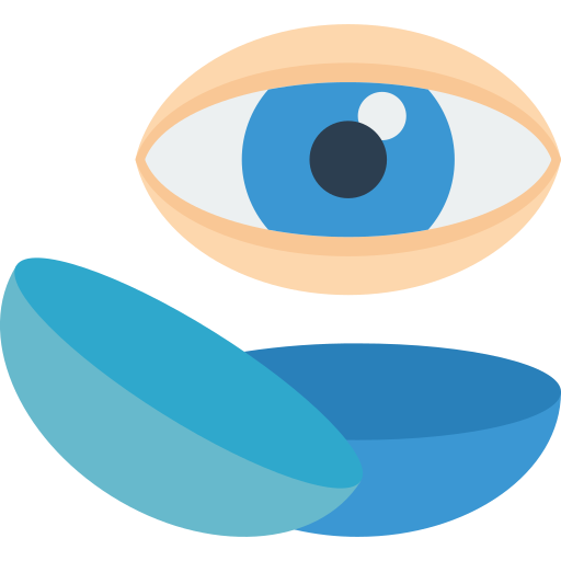 Low Vision Rehabilitation
