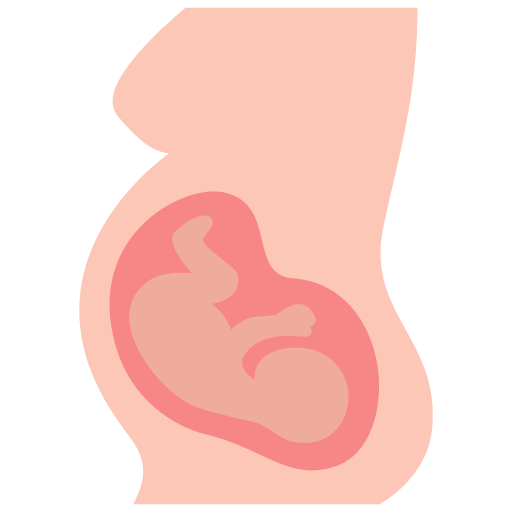Obstetrics & Fetal Medicine Ultrasound