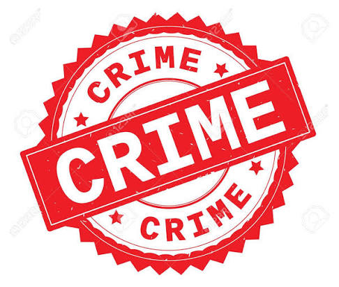 Crime Scene Documentation Tools