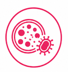 Microbiology culture systems