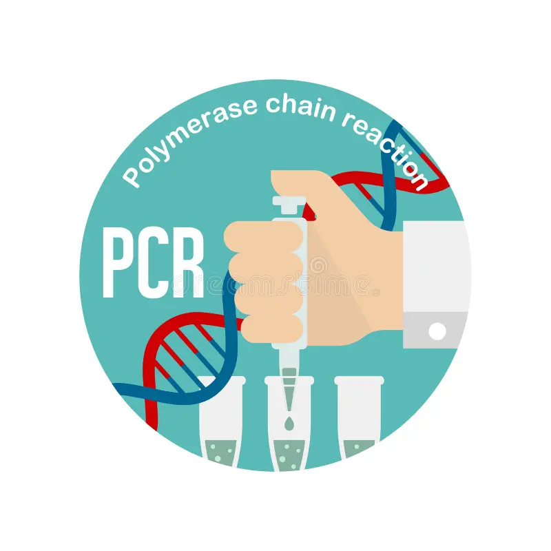 PCR & Molecular Analysis