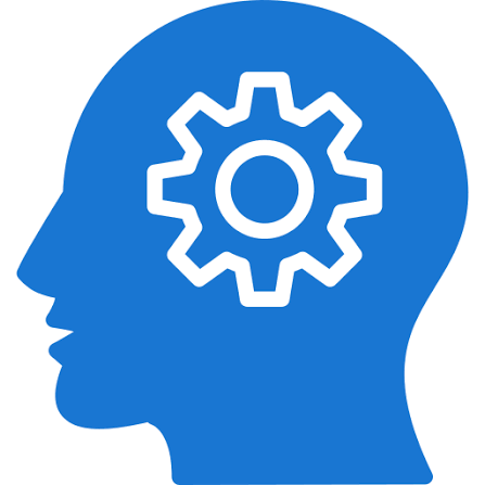 Business Intelligence Focus